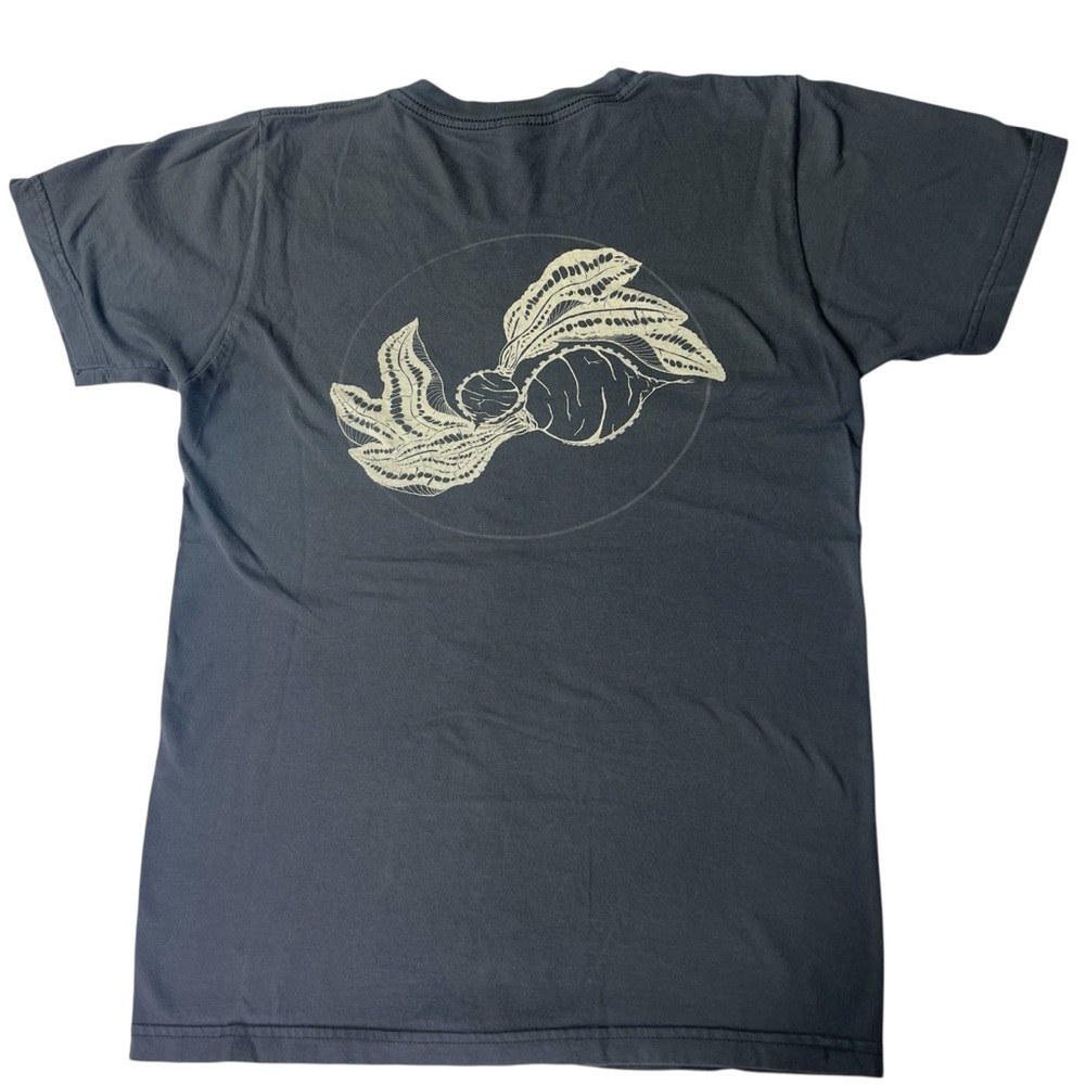 American Apparel Quiet Company Men's Single Stitch T-shirt Size Small